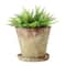 Hello Honey® Distressed Terracotta Cement Planter with Saucer Set
